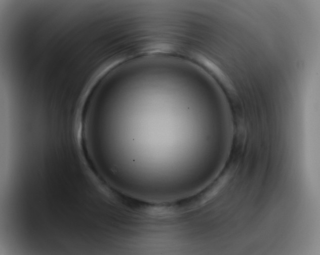 X0000093221418200710101336