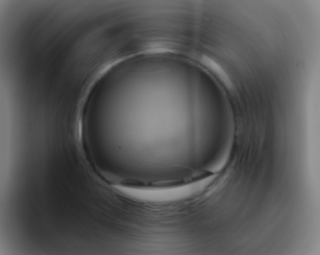 X0000093221419200710101336