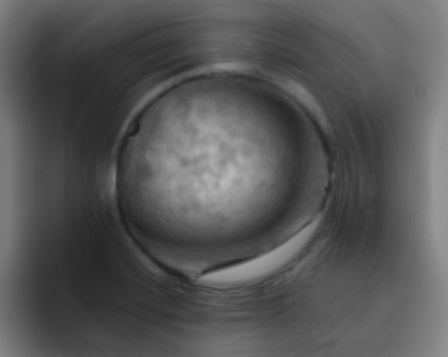 X0000093221420200710101336