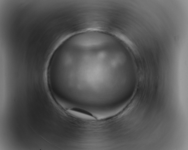 X0000093221423200710101336