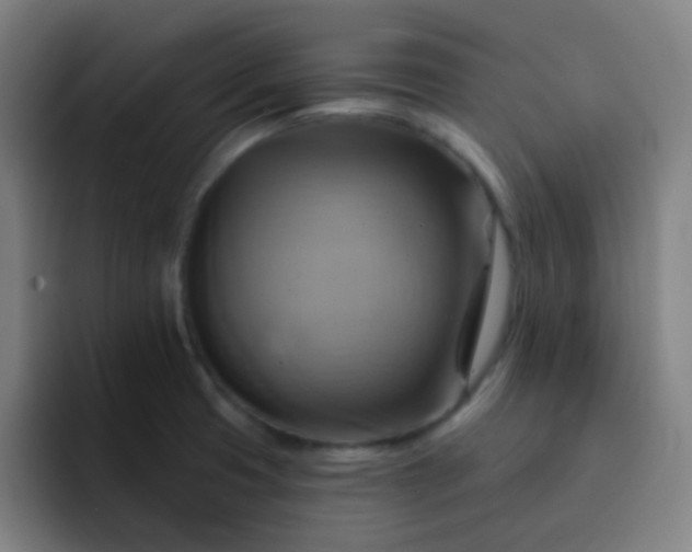 X0000093221425200710101336