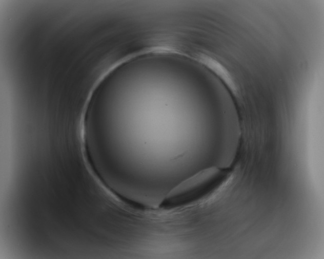 X0000093221428200710101336