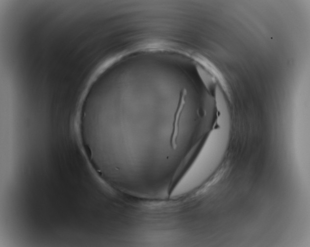 X0000093221429200710101336