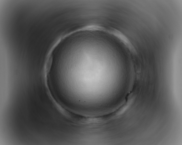 X0000093221430200710101337