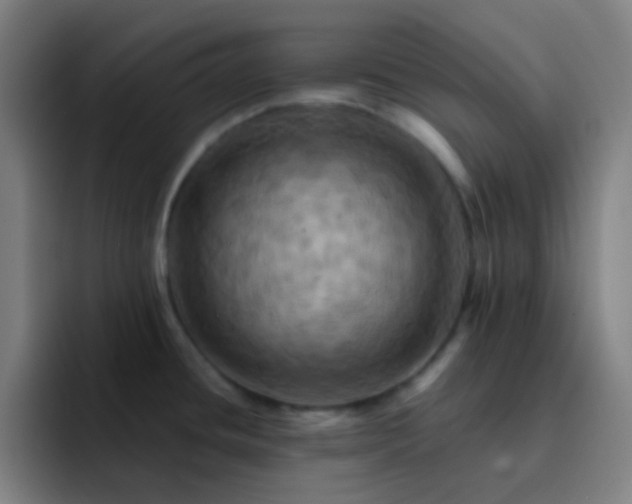 X0000093221436200710101337