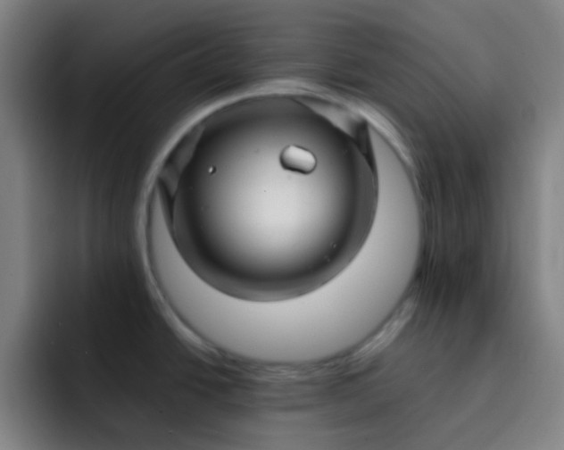 X0000093221438200710101337