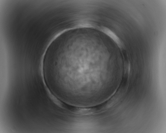 X0000093221439200710101337