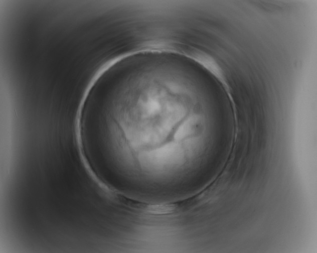 X0000093221440200710101337