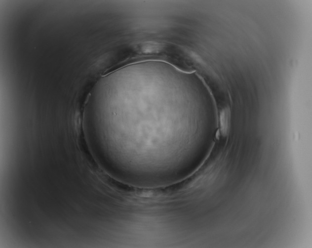 X0000093221443200710101336