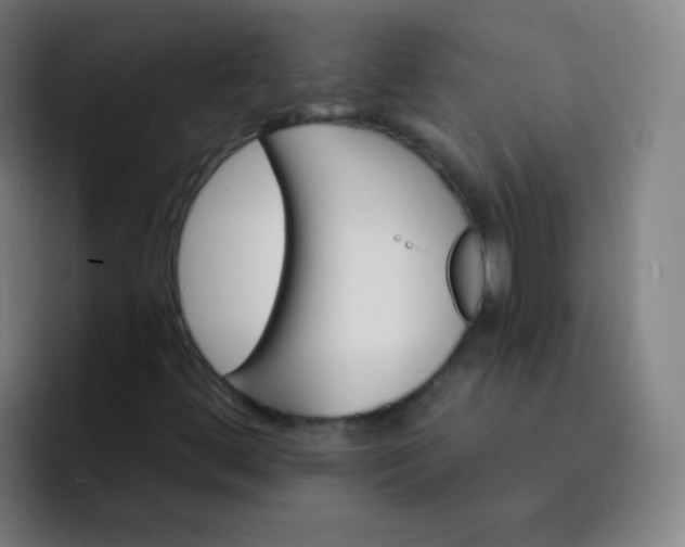 X0000093221444200710101336