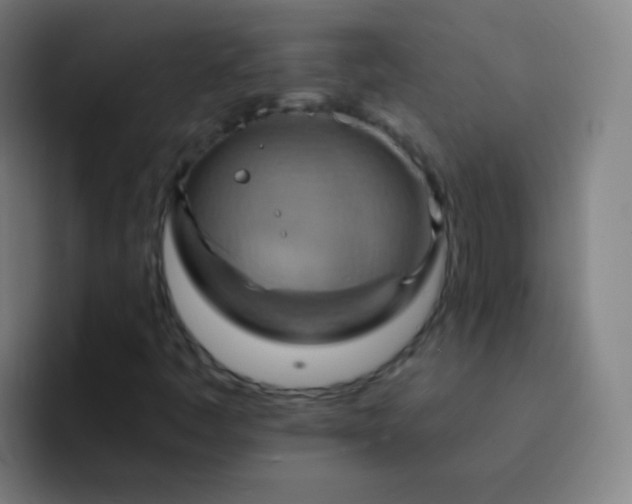 X0000093221445200710101336