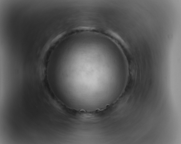 X0000093221448200710101336