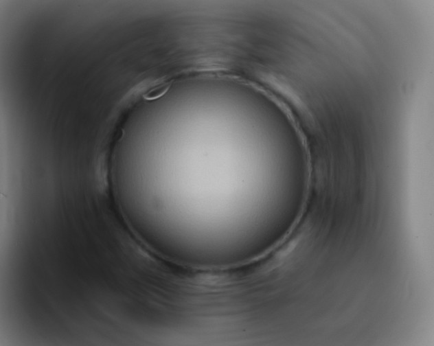 X0000093221451200710101336