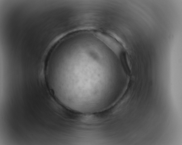 X0000093221452200710101336