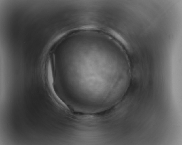 X0000093221456200710101336