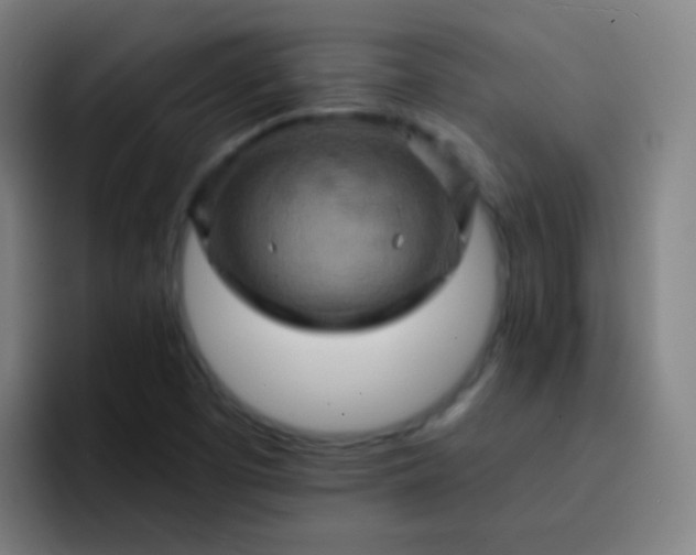 X0000093221457200710101336