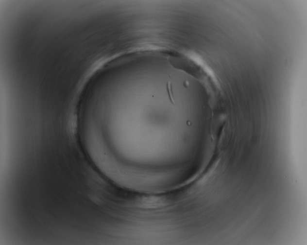 X0000093221459200710101336