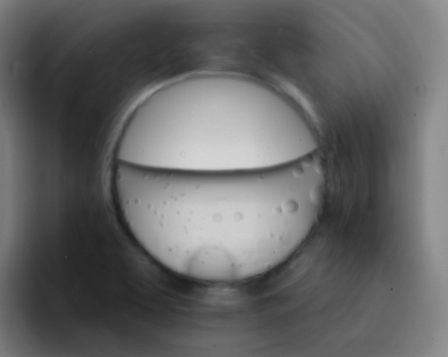 X0000093221463200710101336