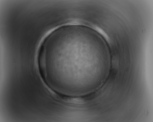 X0000093221464200710101336