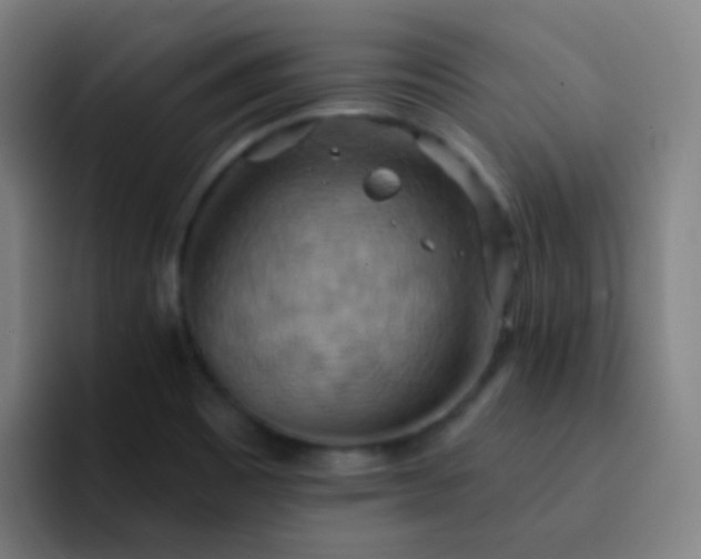 X0000093221465200710101336