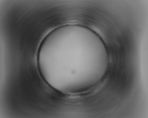 X0000093221466200710101336