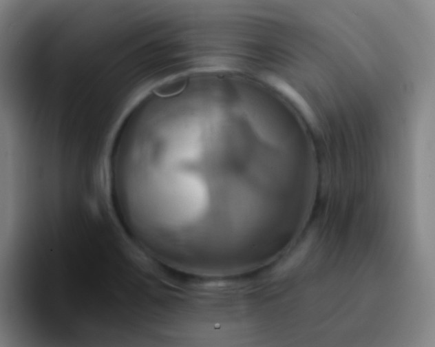 X0000093221467200710101336