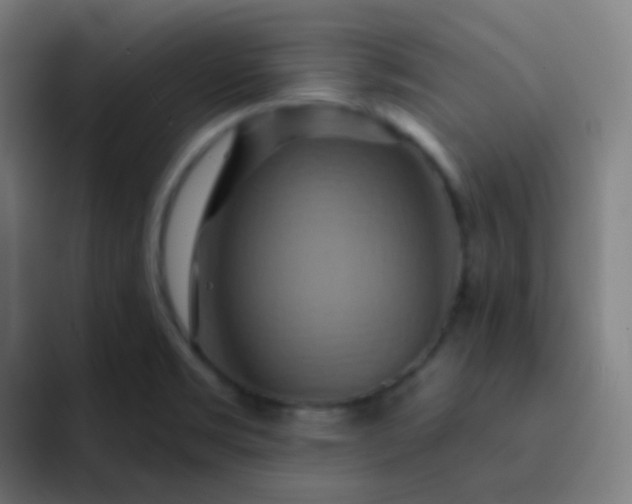 X0000093221469200710101336