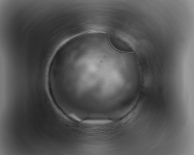 X0000093221471200710101336