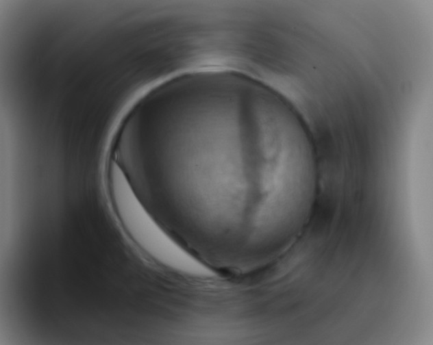 X0000093221472200710101336