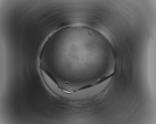 X0000093221476200710101336