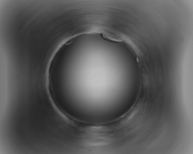 X0000093221479200710101336