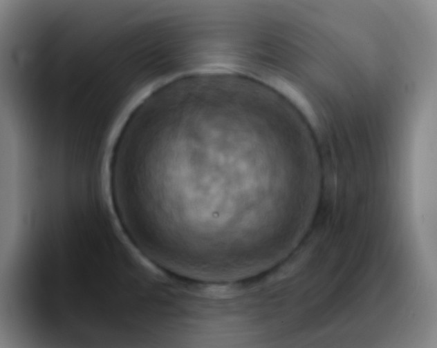 X0000093221480200710101336