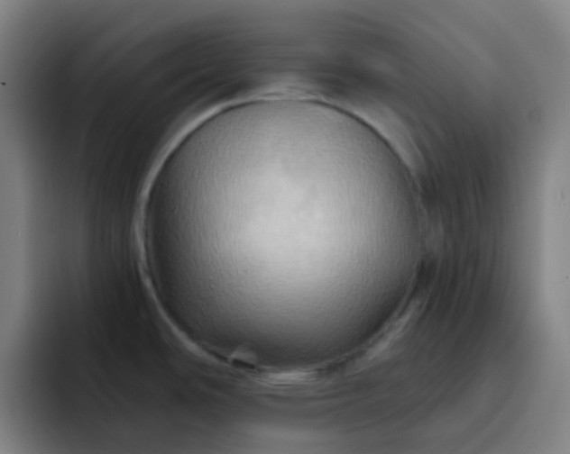 X0000093221486200710101336