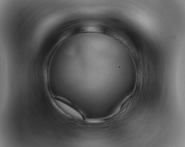 X0000093221487200710101336