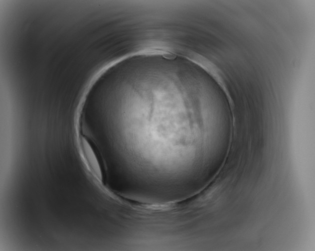 X0000093221488200710101336