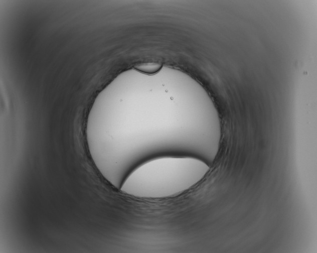 X0000093221489200710101335