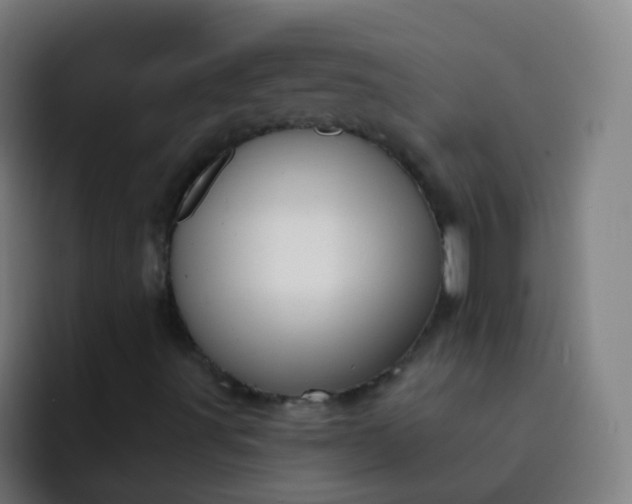 X0000093221491200710101335