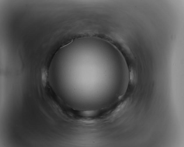 X0000093221492200710101335