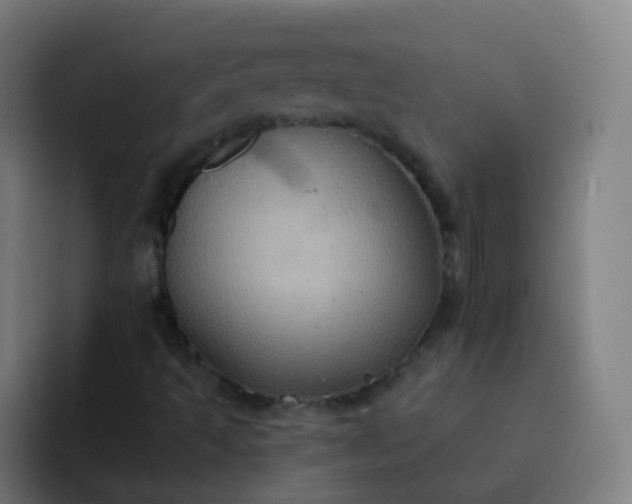 X0000093221493200710101335