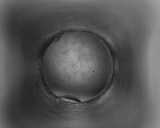 X0000093221494200710101335