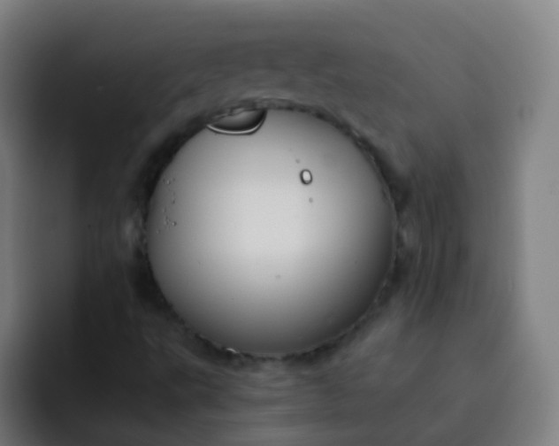 X0000093221495200710101335