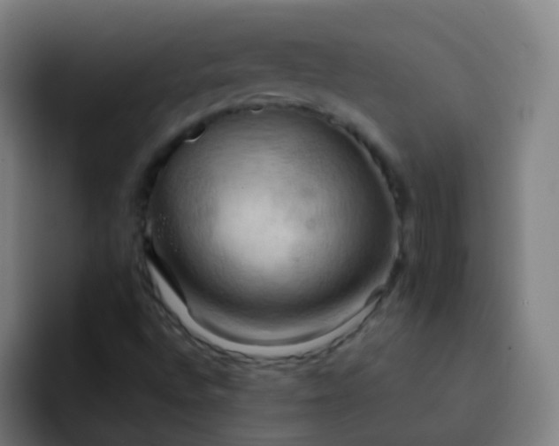 X0000093221496200710101335