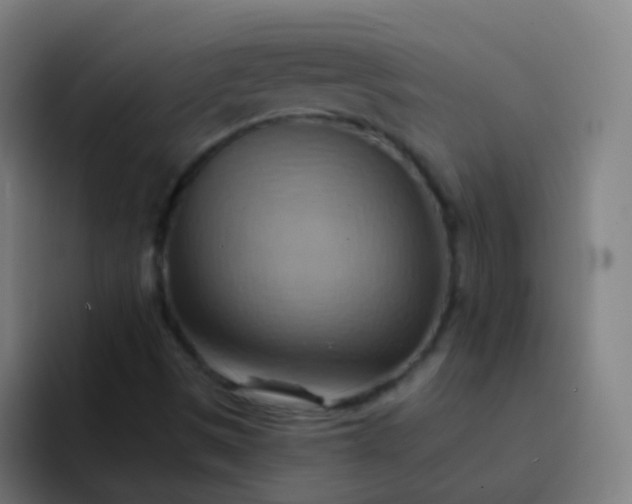 X0000093221497200710101335