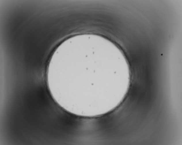 X0000093221498200710101335