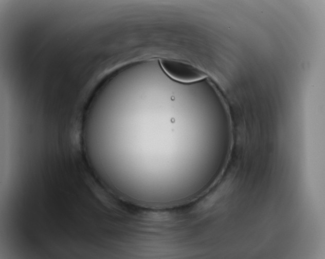 X0000093221499200710101335