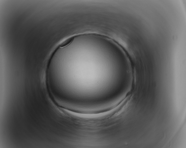 X0000093221500200710101335