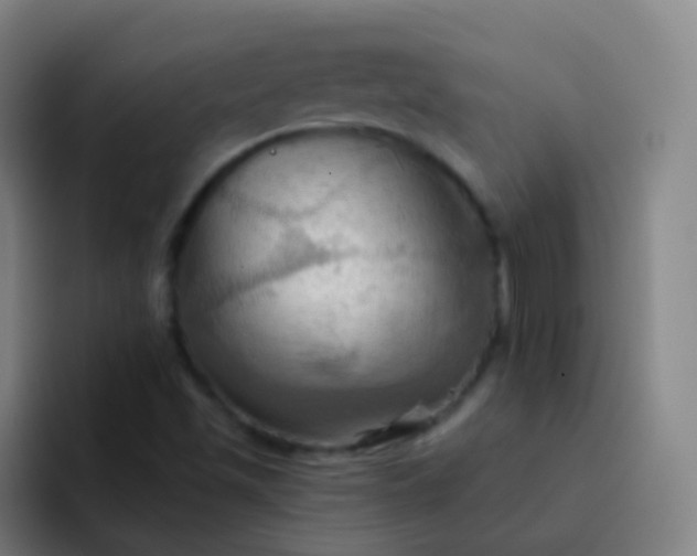 X0000093221501200710101335