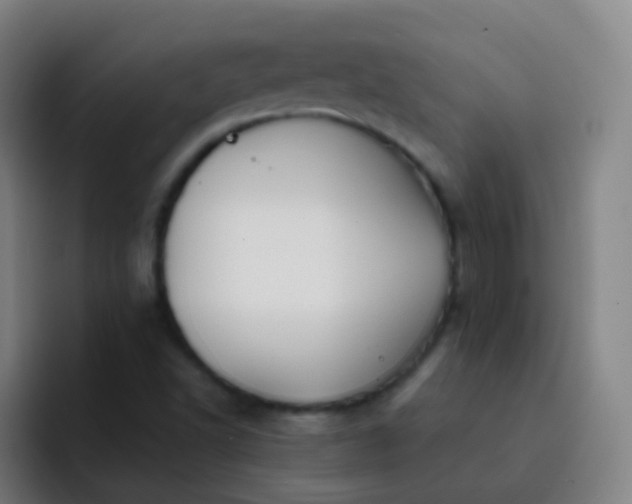 X0000093221502200710101335