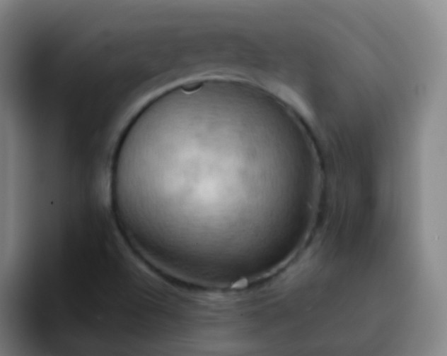 X0000093221504200710101335