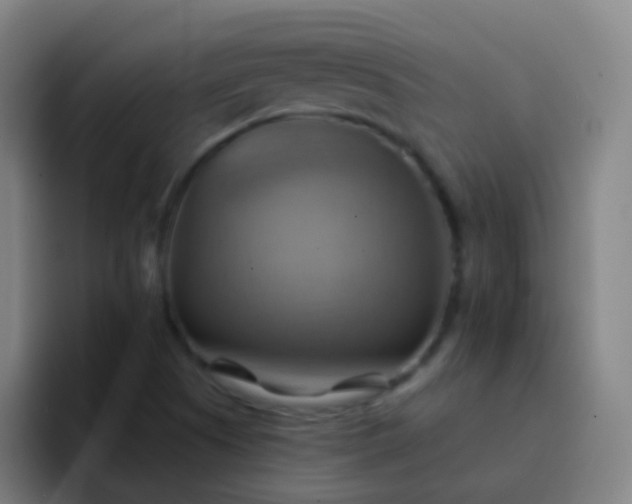 X0000093221505200710101335